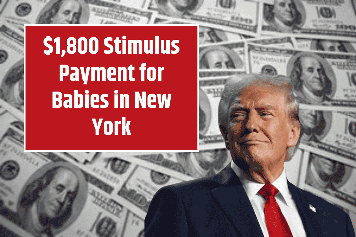 $1,800 Stimulus Payment for Babies in New York: Check out full payment schedule and Application Process